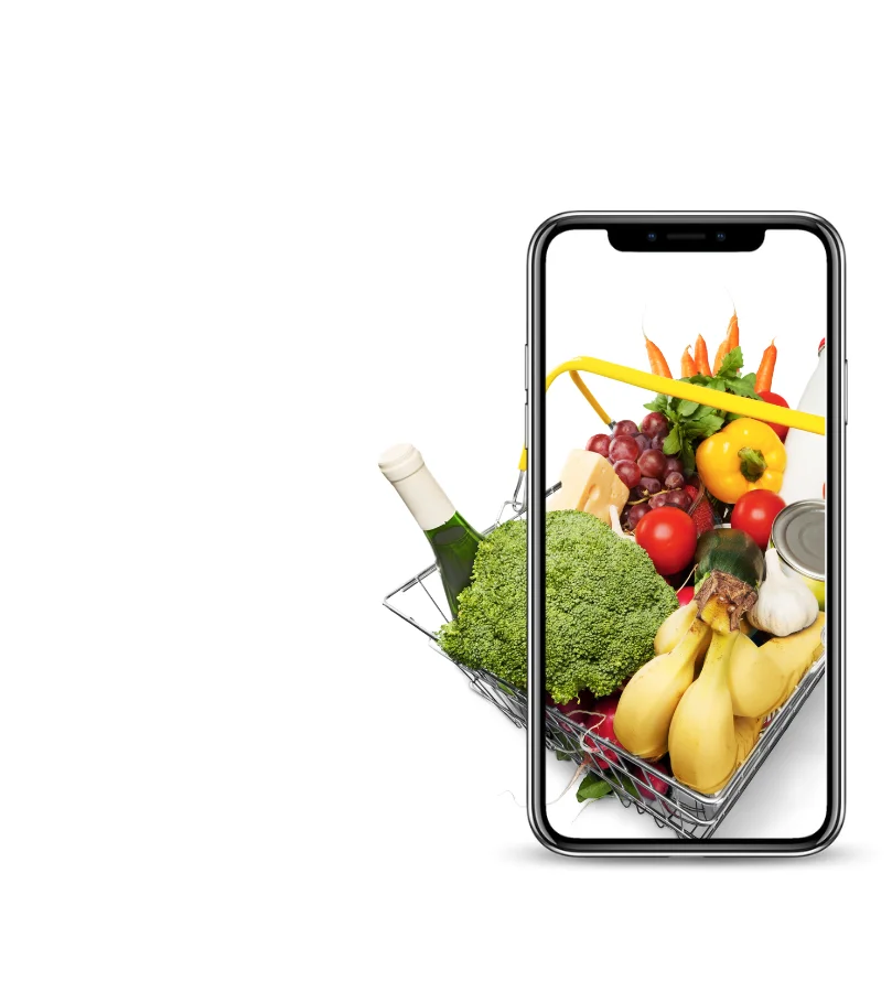 LS Central grocery eCommerce